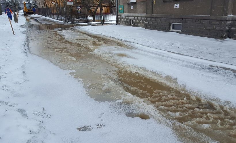 Fot. Karina Płaszczyca