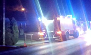 Fot. Karina Płaszczyca