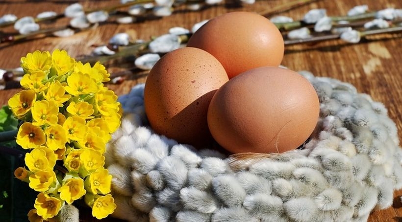 Zdjęcie ilustracyjne /pixabay.com