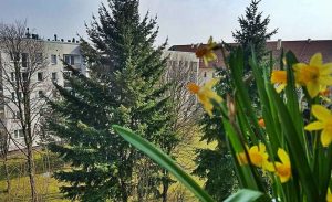 Fot. Karina Płaszczyca