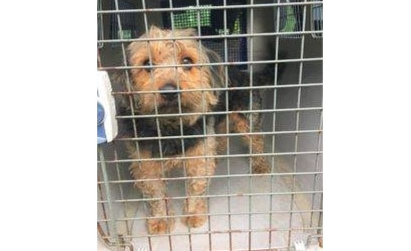 Fot. Nowiny Andrychowskie