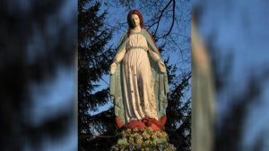 Fot. Materiały Prasowe