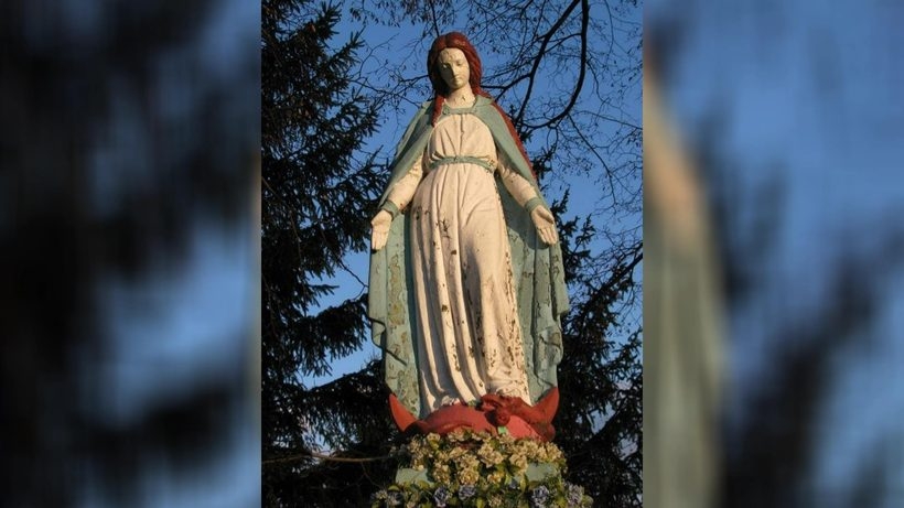 Fot. Materiały Prasowe