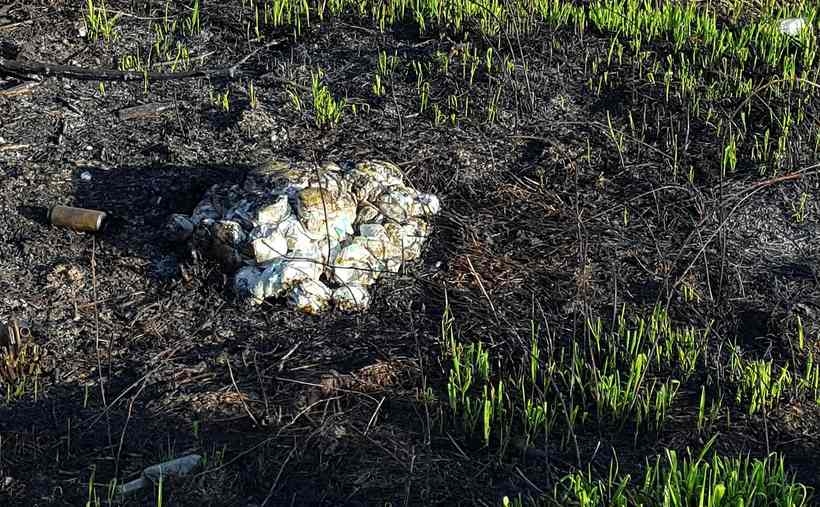 Fot. Karina Płaszczyca