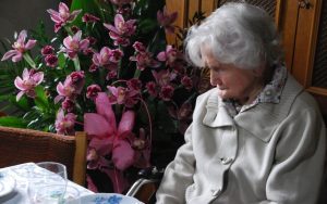 Fot. UM Kalwaria Zebrzydowska