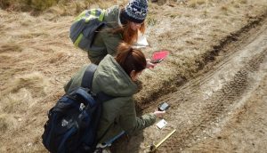 Fot. gory.pracownia.org.pl