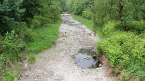 Fot. Nowiny Andrychowskie