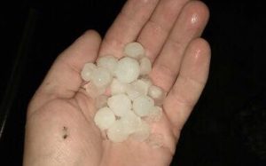 Fot. Przemek/ dlawadowice24