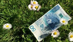 Fot. joomla.wadowice24.promo-peak.ovh