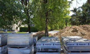 Fot. Karina Płaszczyca