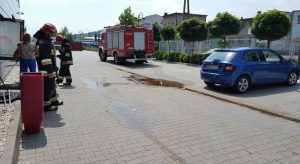 Fot.Karina Płaszczyca