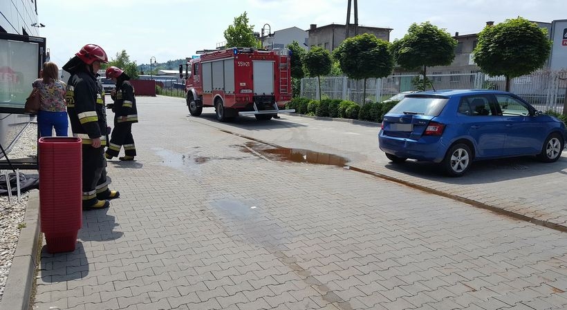 Fot.Karina Płaszczyca