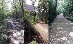 Fot. Materiały Prasowe