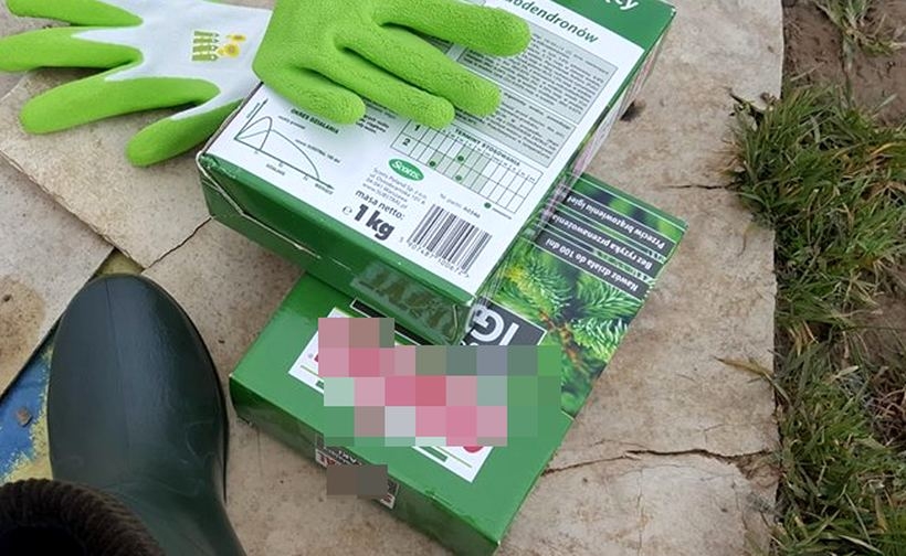 Fot. Karina Płaszczyca