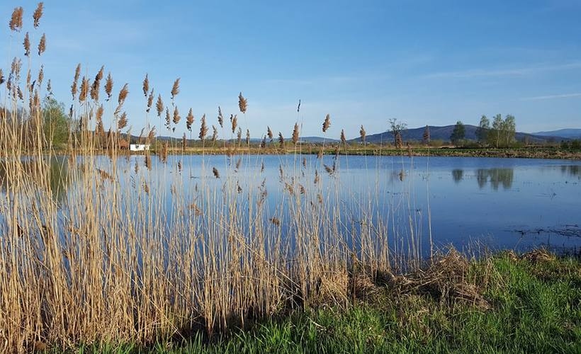 Fot. Karina Płaszczyca