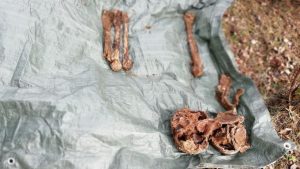 Fot. Materiały Prasowe / Urząd Gminy Spytkowice, Fundacja Pamięć