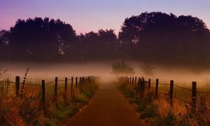 Fot. materiały promocyjny reklamodawcy