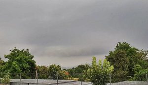 Fot. Karina Płaszczyca