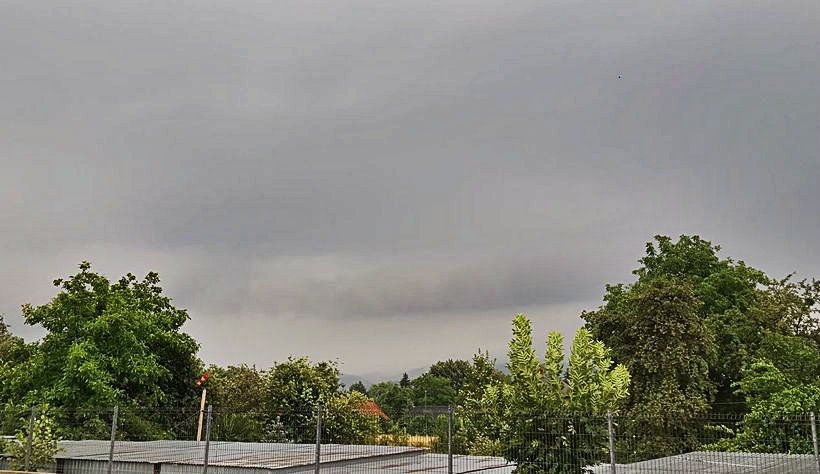 Fot. Karina Płaszczyca