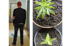 Fot. na podstawie materiałów KPP Wadowice