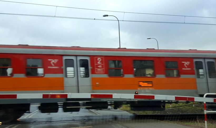 Fot. Karina Płaszczyca