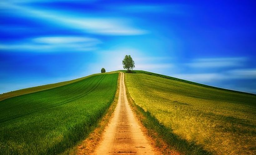 Fot. materiały promocyjne reklamodawcy