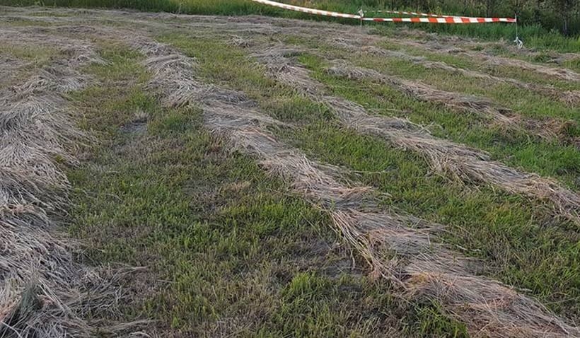 Fot. Karina Płaszczyca