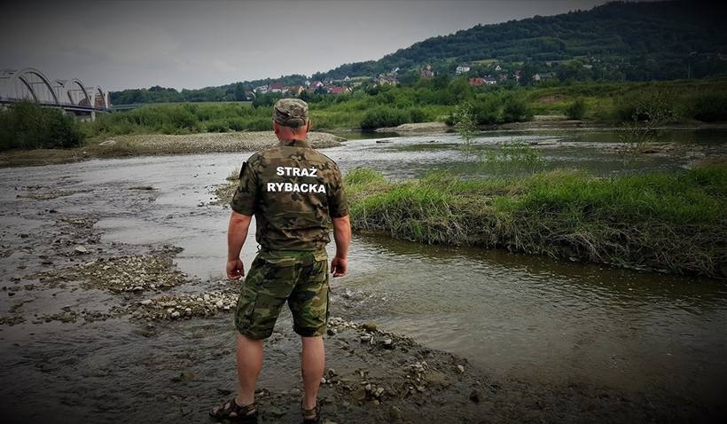 Fot. Facebook/ PZW Bielsko Biała