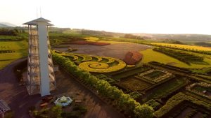 Fot. Materiały Prasowe