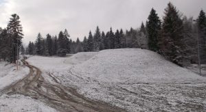 Fot. Zdjęcie Nadesłane