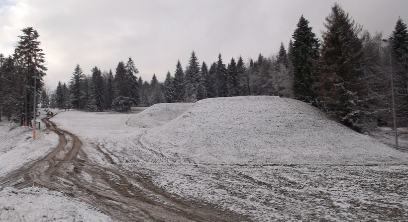 Fot. Zdjęcie Nadesłane