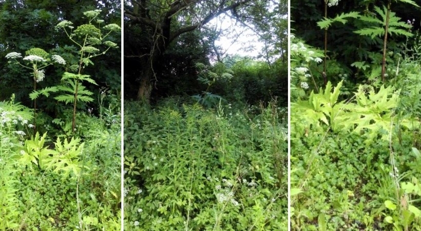 Fot. Archiwum/ nadesłane