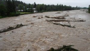 Fot. Biuro Wojewody Małopolskiego