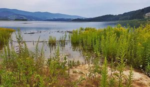 Fot. Karina Płaszczyca