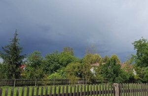 Fot. Karina Płaszczyca