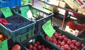 Fot. kadr z filmu na YouTube