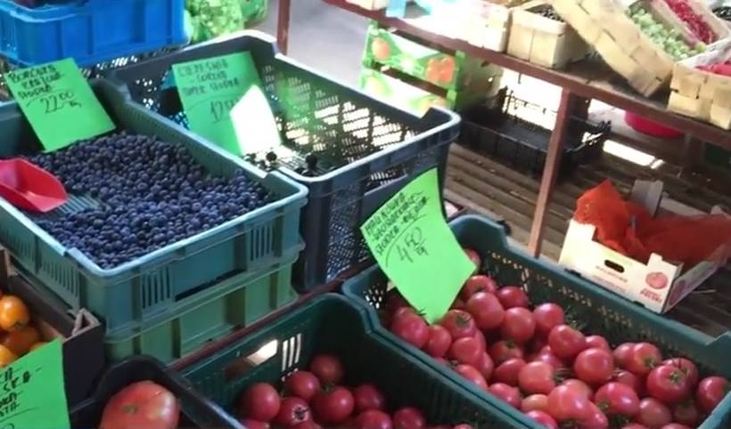 Fot. kadr z filmu na YouTube