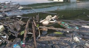 Fot. Nadesłane #dlajoomla.wadowice24.promo-peak.ovh