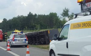 Fot. Karina Płaszczyca