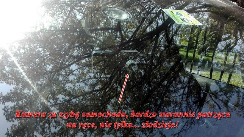 Fot. Materiał nadesłany