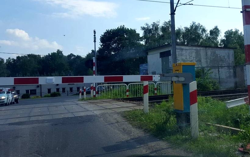 Fot. Karina Płaszczyca