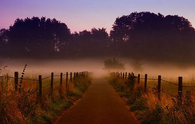 Fot. materiały promocyjne reklamodawcy