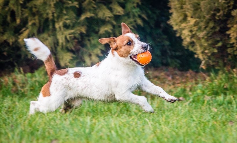 Fot. Marcin Płaszczyca