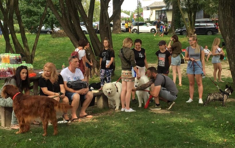 Fot. Pako Salon Pielęgnacji Zwierząt