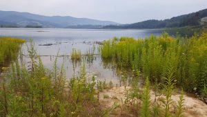 Fot. Karina Płaszczyca