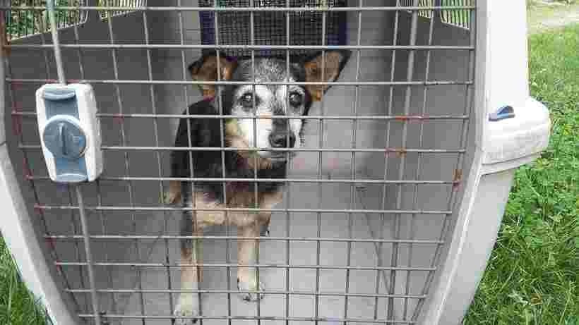 Fot. Facebook/ Radio Andrychów