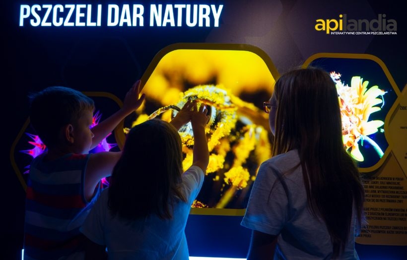 Fot. materiały prasowe