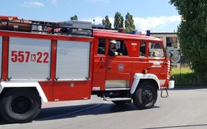 Fot. Karina Płaszczyca