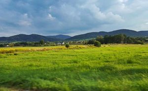 Fot. Karina Płaszczyca