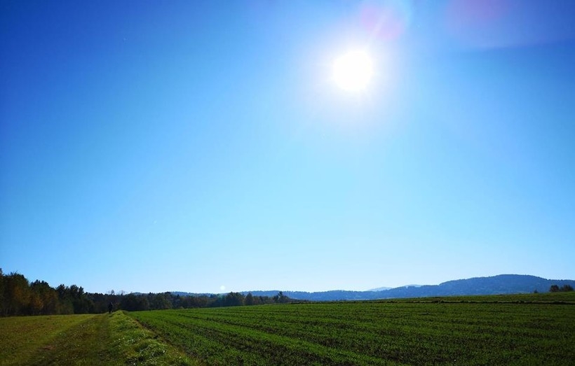 Fot. Karina Płaszczyca